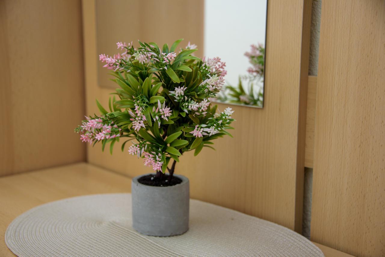 Apartman Dijana 科托尔 外观 照片